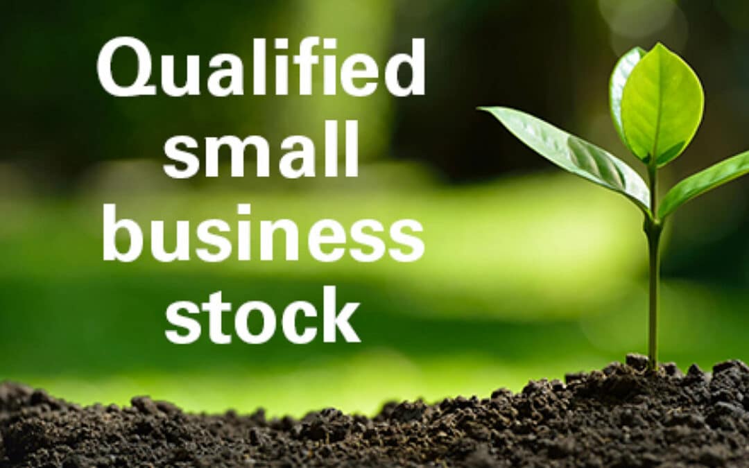 Tax Advantages of Small Business Stock